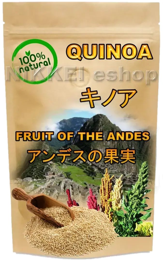 キノア 06